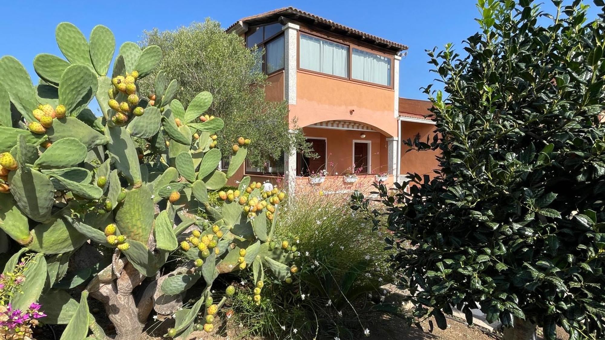 Sardegna - Villa Mirto & Flowers Олбия Екстериор снимка