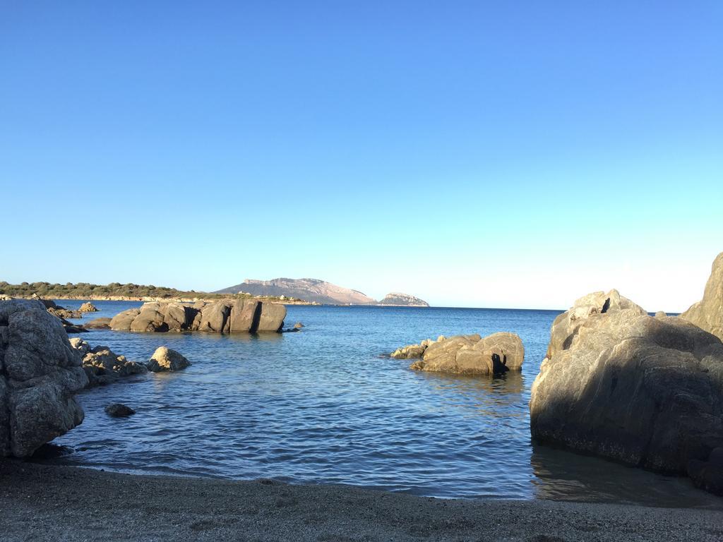Sardegna - Villa Mirto & Flowers Олбия Екстериор снимка